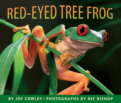 Red-Eyed Tree Frog - Cowley, Joy, and Bishop, Nic (Photographer)