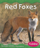 Red Foxes