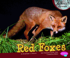 Red Foxes