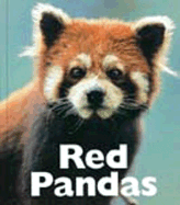 Red Pandas - Rutten, Joshua