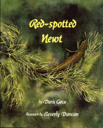 Red-Spotted Newt