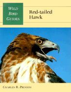 Red-tailed hawk
