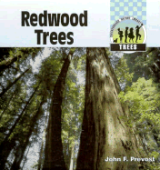 Redwood Trees
