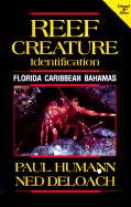 Reef Creature Identification
