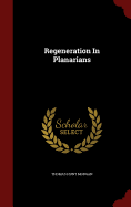 Regeneration in Planarians