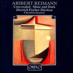Reiman: Unrevealed; Shine and Dark