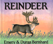 Reindeer
