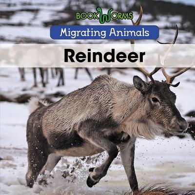 Reindeer - Best, Arthur