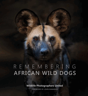 Remembering African Wild Dogs