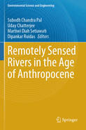 Remotely Sensed Rivers in the Age of Anthropocene