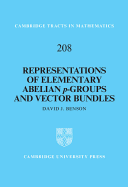 Representations of Elementary Abelian P-Groups and Vector Bundles