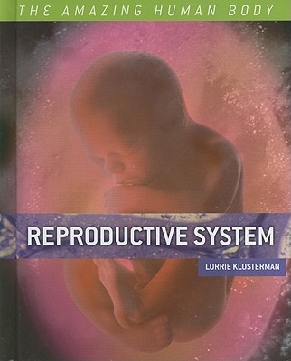 Reproductive System - Klosterman, Lorrie