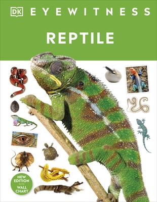 Reptile - McCarthy, Colin