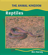 Reptiles (Animal)