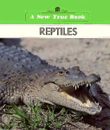 Reptiles