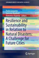 Resilience and Sustainability in Relation to Natural Disasters: A Challenge for Future Cities