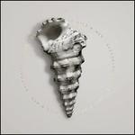 Restoring Force [LP]