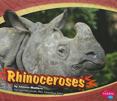 Rhinoceroses - Mattern, Joanne