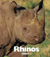 Rhinos