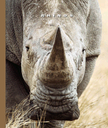 Rhinos