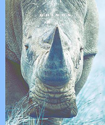 Rhinos - Murray, Peter
