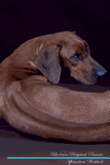Rhodesian Ridgeback Affirmations Workbook Rhodesian Ridgeback Presents: Positive and Loving Affirmations Workbook. Includes: Mentoring Questions, Guidance, Supporting You.