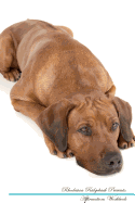 Rhodesian Ridgeback Affirmations Workbook Rhodesian Ridgeback Presents: Positive and Loving Affirmations Workbook. Includes: Mentoring Questions, Guidance, Supporting You.