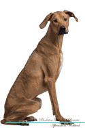 Rhodesian Ridgeback Affirmations Workbook Rhodesian Ridgeback Presents: Positive and Loving Affirmations Workbook. Includes: Mentoring Questions, Guidance, Supporting You.
