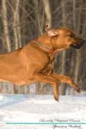 Rhodesian Ridgeback Affirmations Workbook Rhodesian Ridgeback Presents: Positive and Loving Affirmations Workbook. Includes: Mentoring Questions, Guidance, Supporting You.