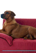 Rhodesian Ridgeback Affirmations Workbook Rhodesian Ridgeback Presents: Positive and Loving Affirmations Workbook. Includes: Mentoring Questions, Guidance, Supporting You.