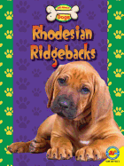 Rhodesian Ridgebacks
