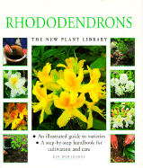 Rhododendrons