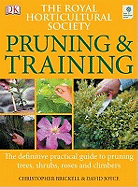 RHS Pruning & Training