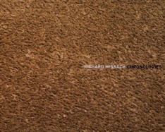 Richard Misrach: Chronologies - Misrach, Richard, Professor (Photographer)