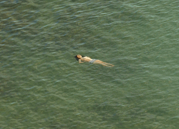 Richard Misrach:The Mysterious Opacity of Other Beings