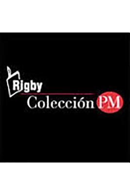 Rigby PM Coleccion Benchmark: Leveled Reader - Rigby (Prepared for publication by)