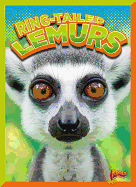 Ring-Tailed Lemurs
