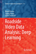 Roadside Video Data Analysis: Deep Learning