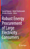 Robust Energy Procurement of Large Electricity Consumers