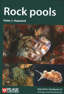 Rock pools