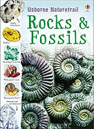 Rocks and Fossils