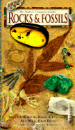 Rocks and Fossils
