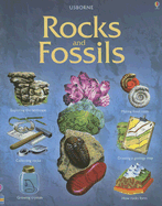 Rocks and Fossils