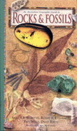 Rocks and Fossils