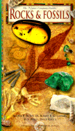 Rocks & Fossils - Roots, David, and Coenraads, Robert R, and Busbey, Arthur B