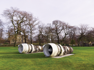 Roger Hiorns: Untitled - Morton, Tom, and Douglas, Caroline
