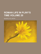 Roman life in Pliny's time
