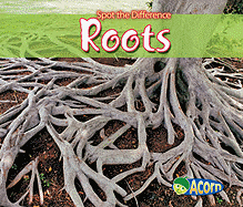 Roots