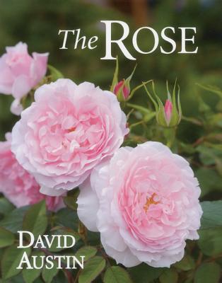 Rose - Austin, David