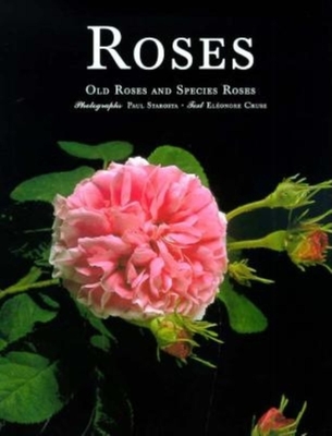 Roses - Cruse, Eleonore, and Starosta, Paul